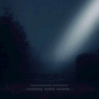 foreveralone, Calmtone - counting every second