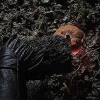 deathmarried - dj pumpkin