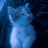 foreveralone - its youu