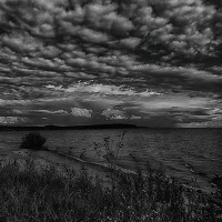 Ecveezer - Melody of Soul - Edited Version