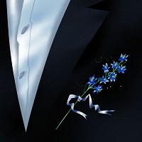 TVORCHI - Мила моя