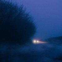 Piedkies - Morning Mist