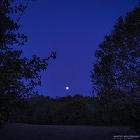 foreveralone, MrNotYet - nights like this