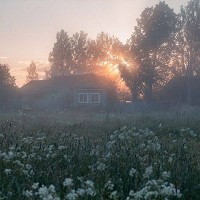 foreveralone, singsoni - recover.exe