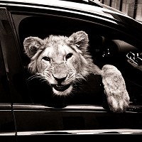 MACAN, Kiliana - Спокойной ночи