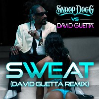 Snoop Dogg, David Guetta - Sweat - Snoop Dogg vs David Guetta Remix