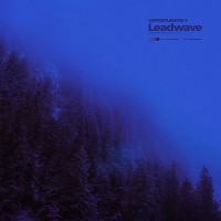 leadwave - unfortunately